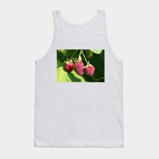 Loganberry Tank Top